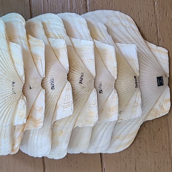 Large Scalloped Clam Shells Made in Japan - Picture 16 of 16